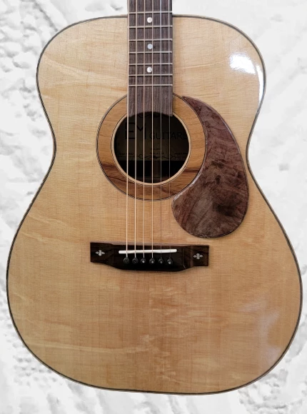 Orchestra Model (OM)"